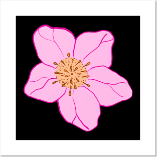 Hellebore Flower Posters and Art